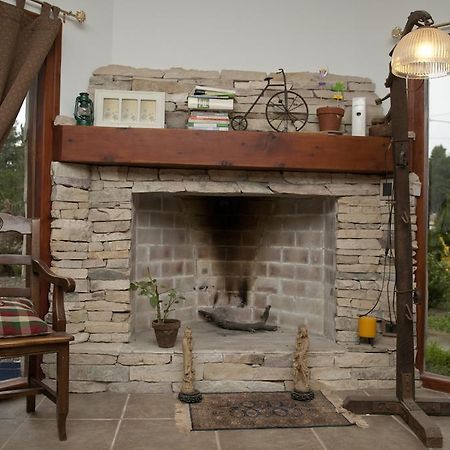 Apart Hotel Raices Patagonicas Диня Хуапи Екстериор снимка