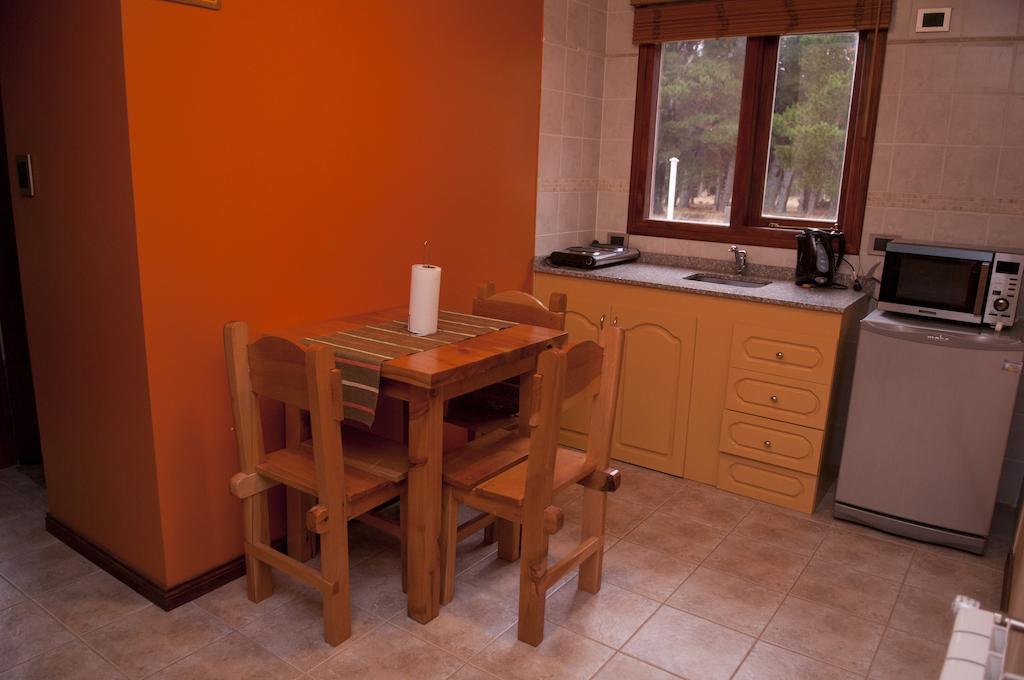 Apart Hotel Raices Patagonicas Диня Хуапи Екстериор снимка